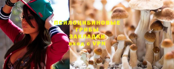 гашиш Заводоуковск