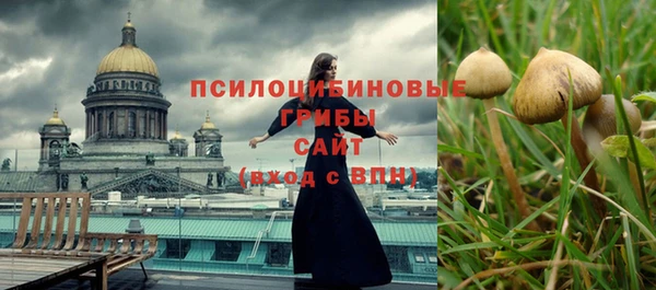 mdpv Заволжск