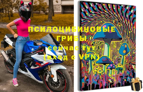 mdpv Заволжск